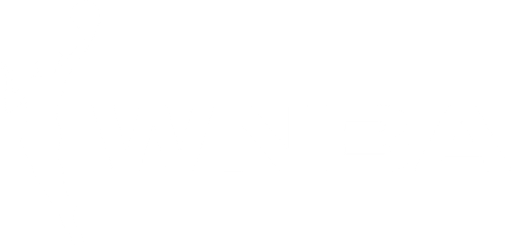 WNBA league logo