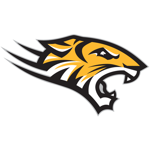 Towson official logo