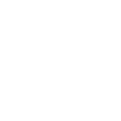 Air Force Falcons logo